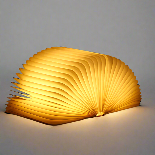 Betoverde Boekenlamp